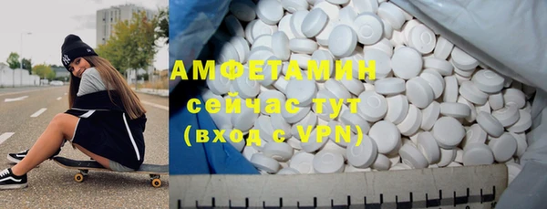 хмурый Магас