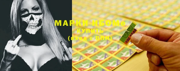 хмурый Магас
