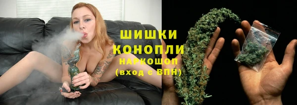 хмурый Магас