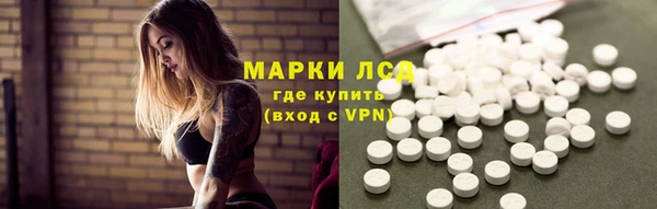 хмурый Магас