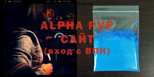 хмурый Магас