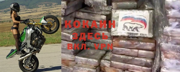 ГАЛЛЮЦИНОГЕННЫЕ ГРИБЫ Магадан