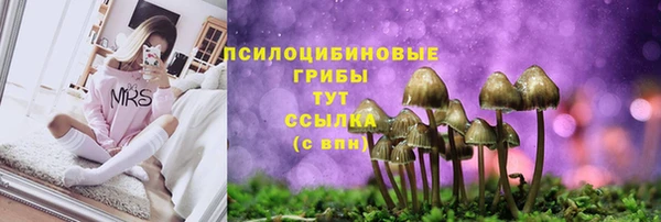 ГАЛЛЮЦИНОГЕННЫЕ ГРИБЫ Магадан