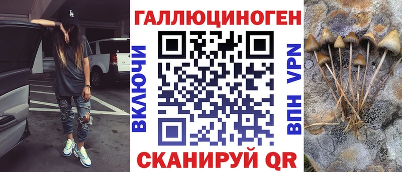 Галлюциногенные грибы Cubensis Могоча
